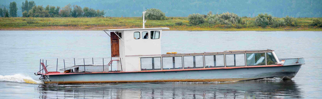 Дружеские визиты